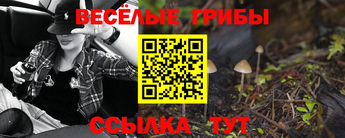 Галлюциногенные грибы Cubensis Видное